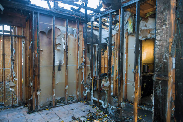 Professional Fire Damage Removal technician working in Royston, GA